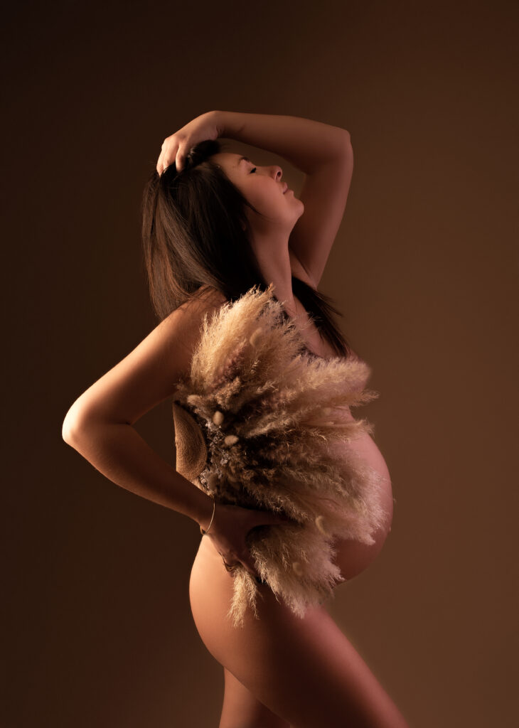 Photographe Grossesse Vaucluse